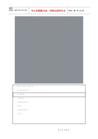 商场开业广告投放计划书