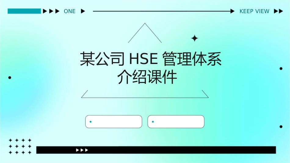 某公司HSE管理体系介绍课件_第1页