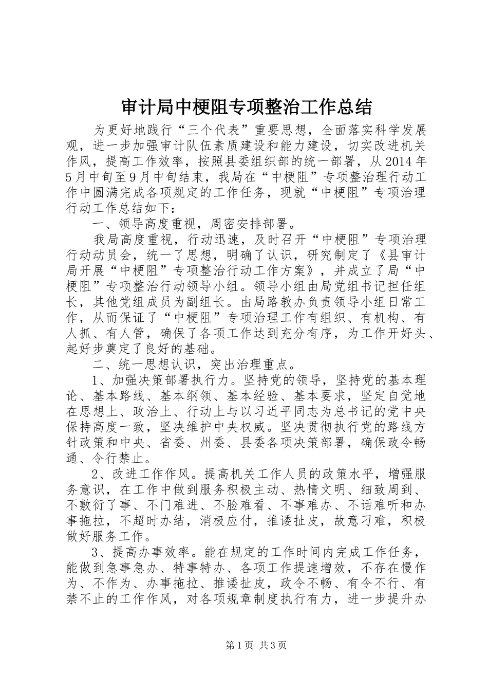 审计局中梗阻专项整治工作总结_第1页