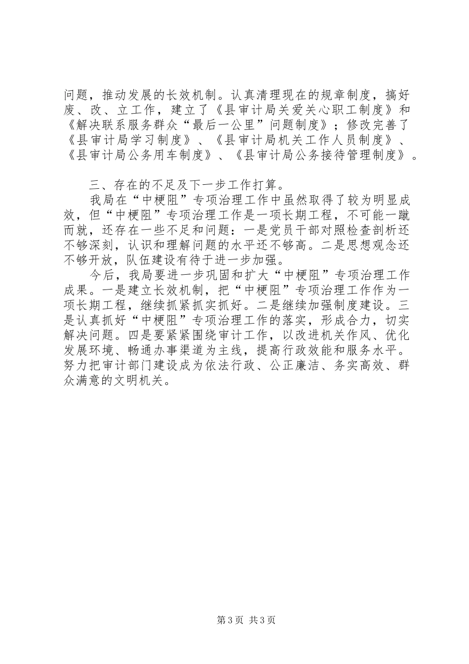 审计局中梗阻专项整治工作总结_第3页