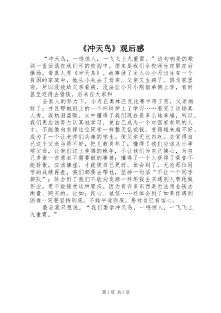 《冲天鸟》观后感