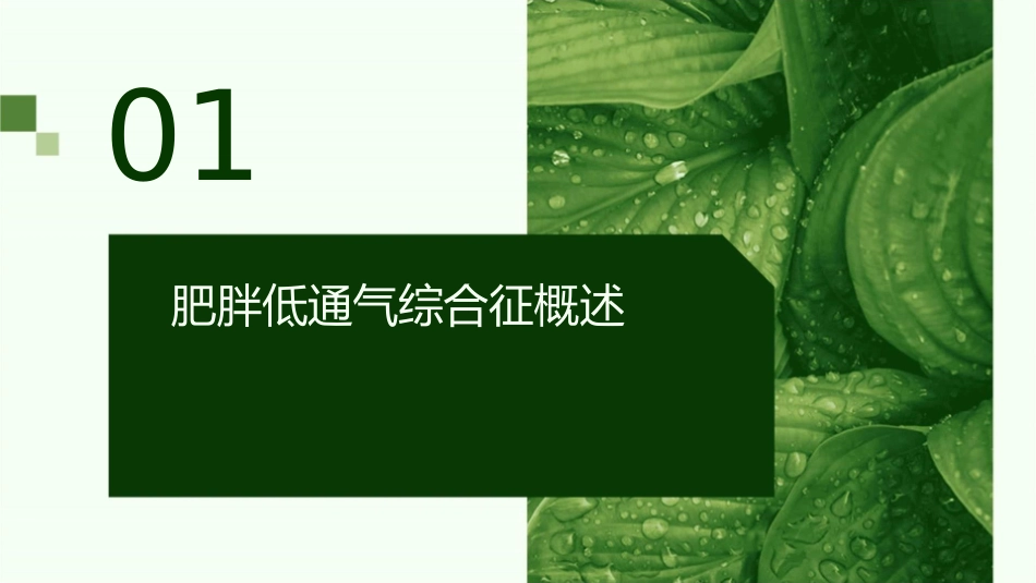 肥胖低通气综合征护理课件_第3页