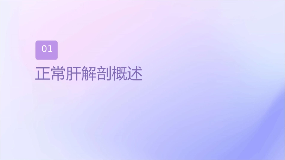 正常肝脏CT解剖护理课件_第3页