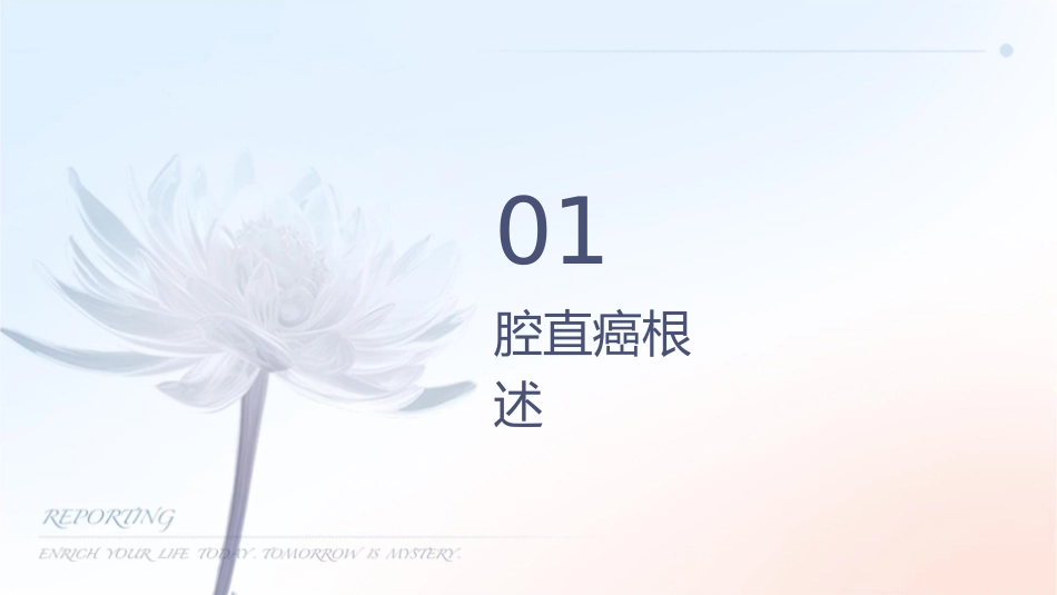 腔镜直肠癌根治术护理课件_第3页