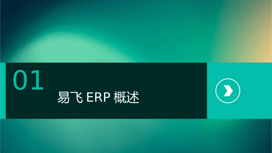 易飞ERP上线实施方法及流程课件_第3页