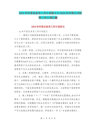 2024年外贸业务员工作计划范文与2024年外贸公司经贸工作计划汇编