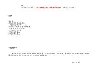 凤凰城项目营销策划报告