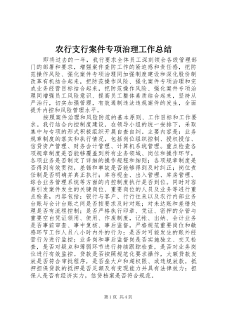 农行支行案件专项治理工作总结