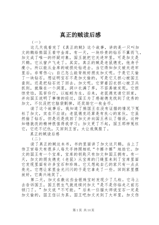 真正的贼读后感