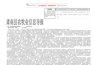 主办肃南县农牧业信息服务中心