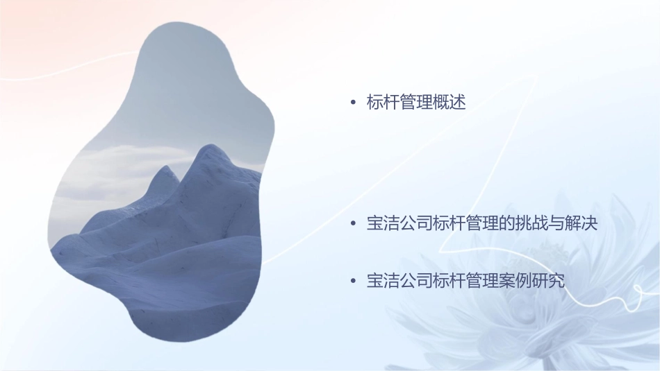 宝洁公司的标杆管理课件_第2页