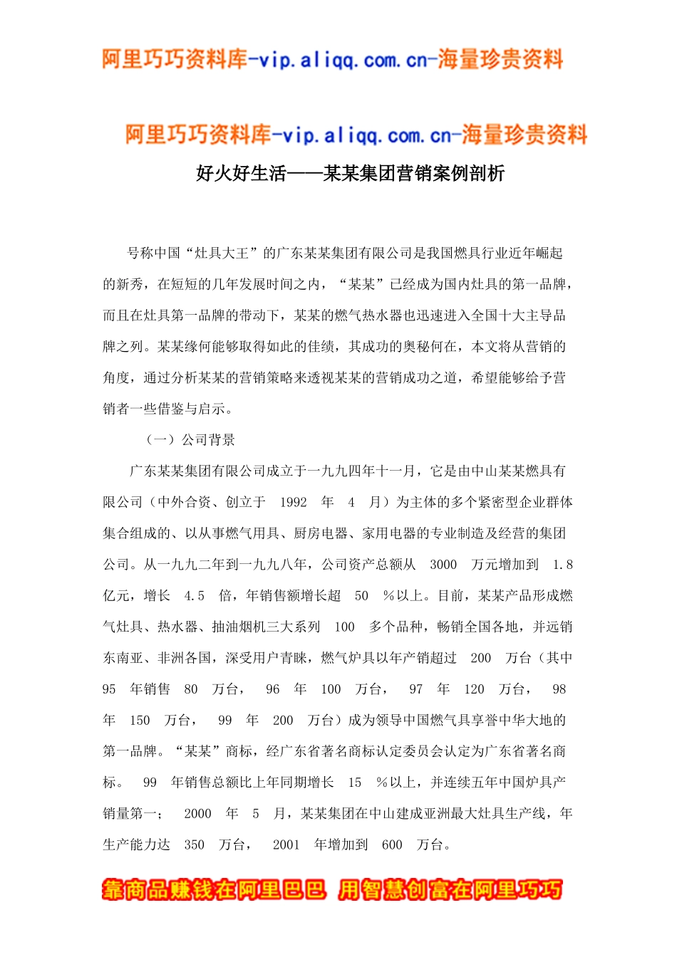 好火好生活——某某集团营销案例剖析doc9_第1页