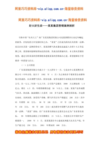 好火好生活——某某集团营销案例剖析doc9