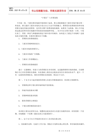 宁夏红入市营销策划案