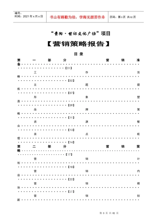世纪文化广场商业项目营销策略报告（定稿）