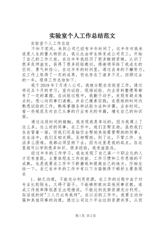 实验室个人工作总结范文