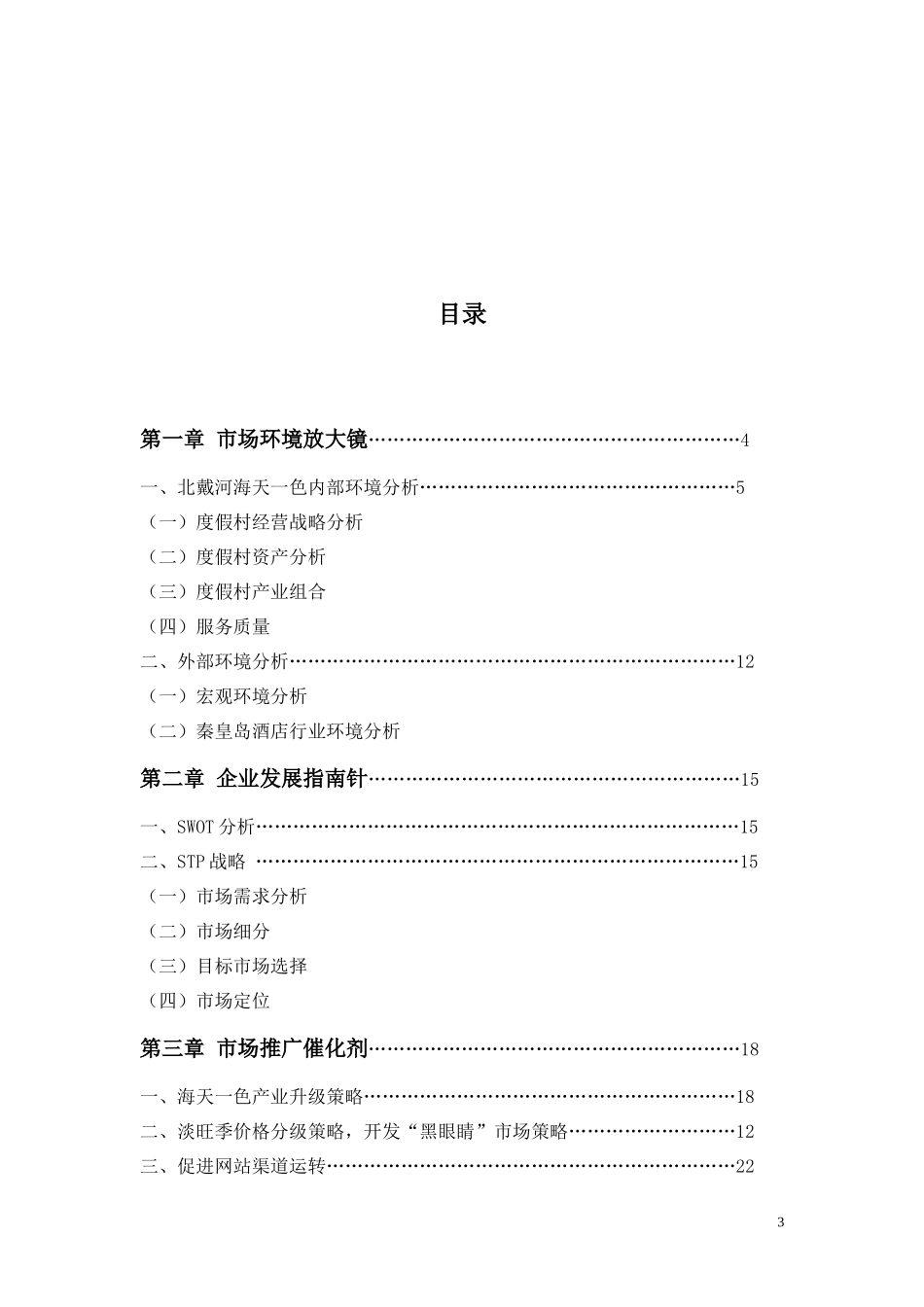 全国高校营销策划大赛营销策划案_第3页