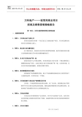 【某地产】坂雪岗商业项目招商及销售营销策略报告【24DOC】