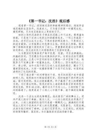 《第一书记：沈浩》观后感