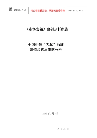 中国电信天翼品牌的营销战略分析