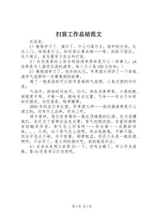 扫盲工作总结范文
