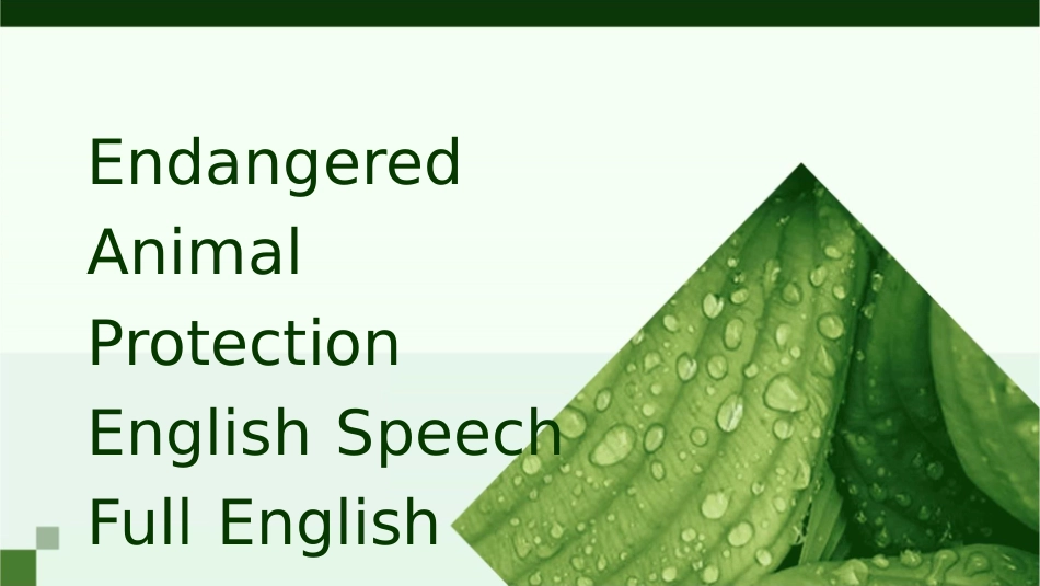 濒危动物保护动物英文演讲全英文课件_第1页