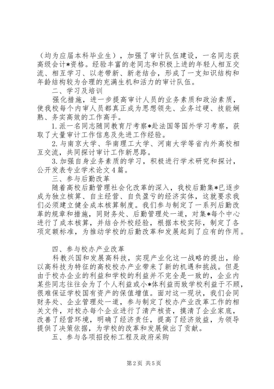 审计处工作总结范文工作总结模板_第2页