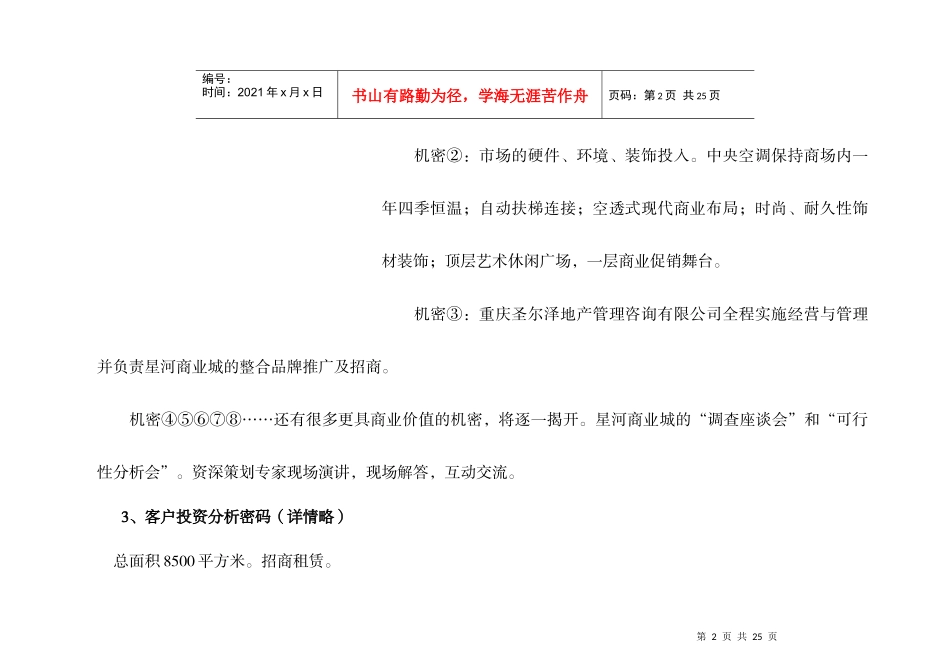 星河商业城-项目营销企划方案(下)_第2页