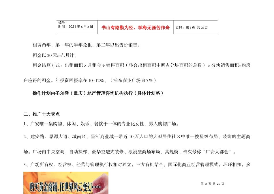 星河商业城-项目营销企划方案(下)_第3页