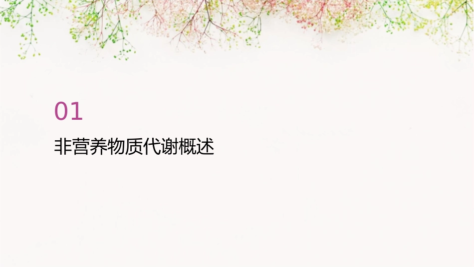 非营养物质代谢s课件_第3页