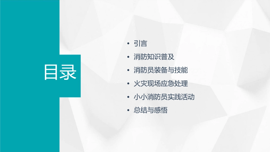 我是小小消防员定稿课件_第2页