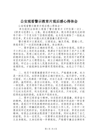 公安观看警示教育片观后感心得体会
