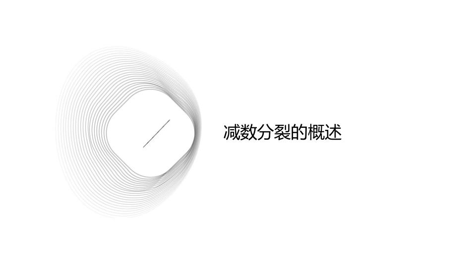 高中生物减数分裂课件_第3页