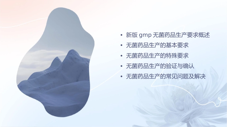 新版GMP无菌药品生产要求课件_第2页