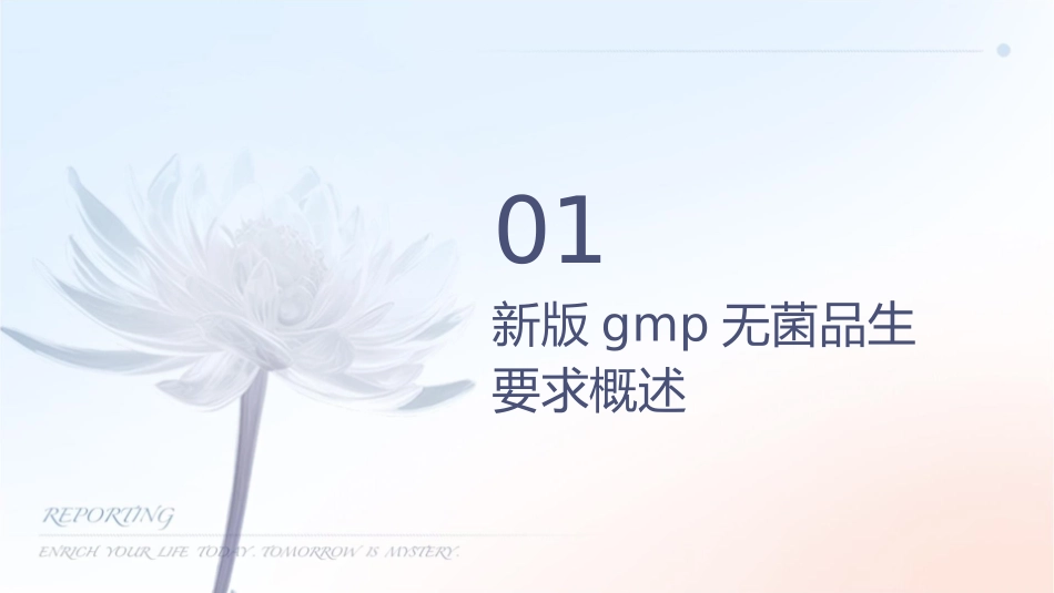 新版GMP无菌药品生产要求课件_第3页