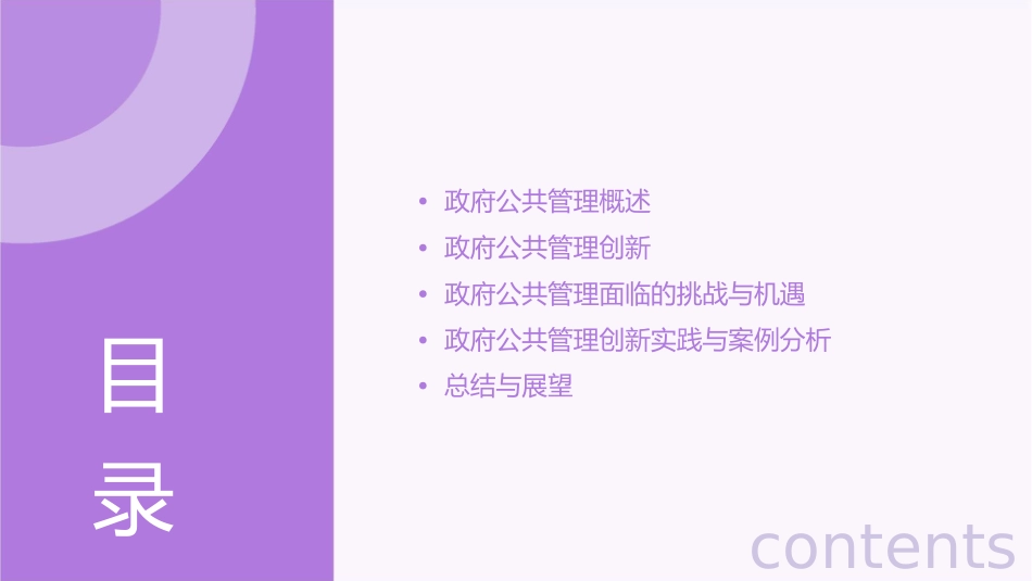 董晓宇政府公共管理创新半天课件_第2页