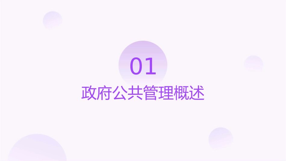 董晓宇政府公共管理创新半天课件_第3页