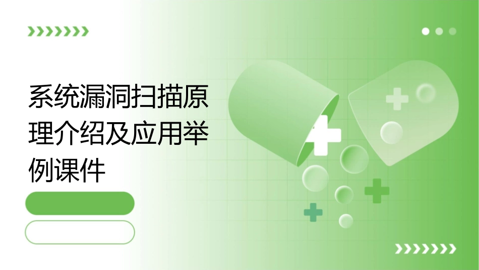 系统漏洞扫描原理介绍及应用举例课件_第1页