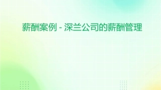 薪酬案例深兰公司的薪酬管理课件