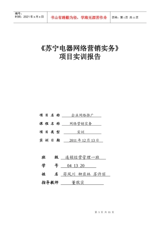 苏宁电器网络营销实务doc