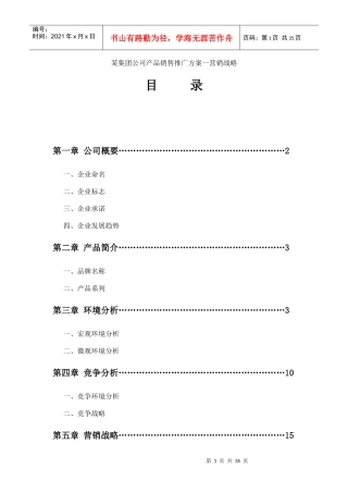 某集团公司产品销售推广方案--营销战略
