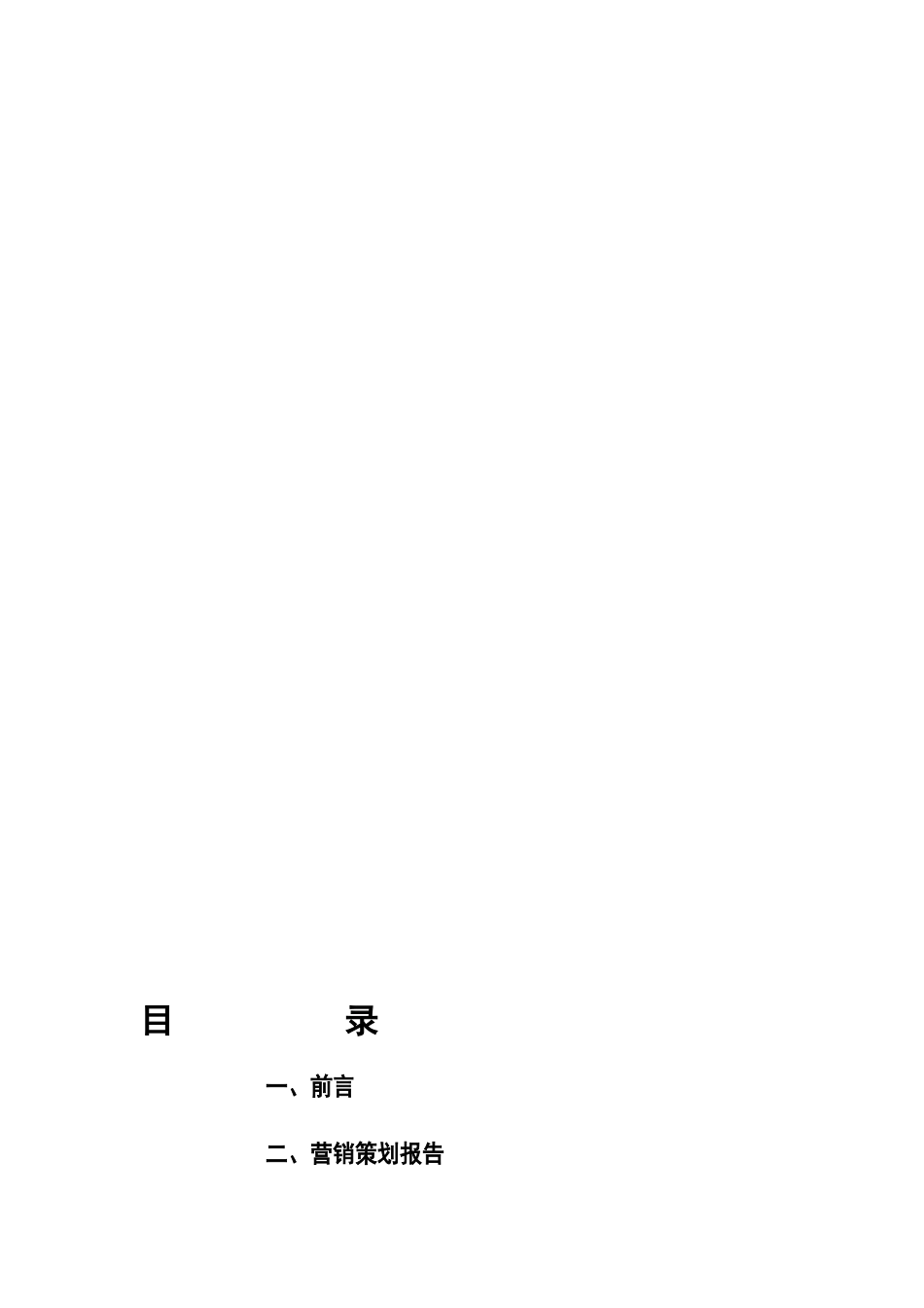 某公司营销策划报告_第1页