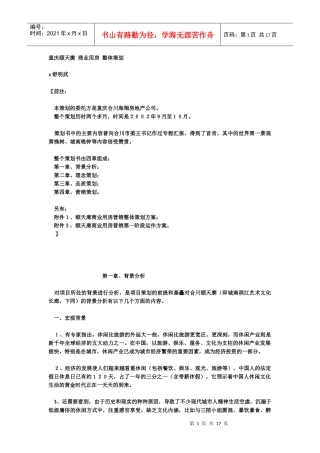 重庆颐天廓商业用房整体营销策划书