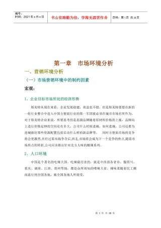 营销策略广告策略与媒介策略