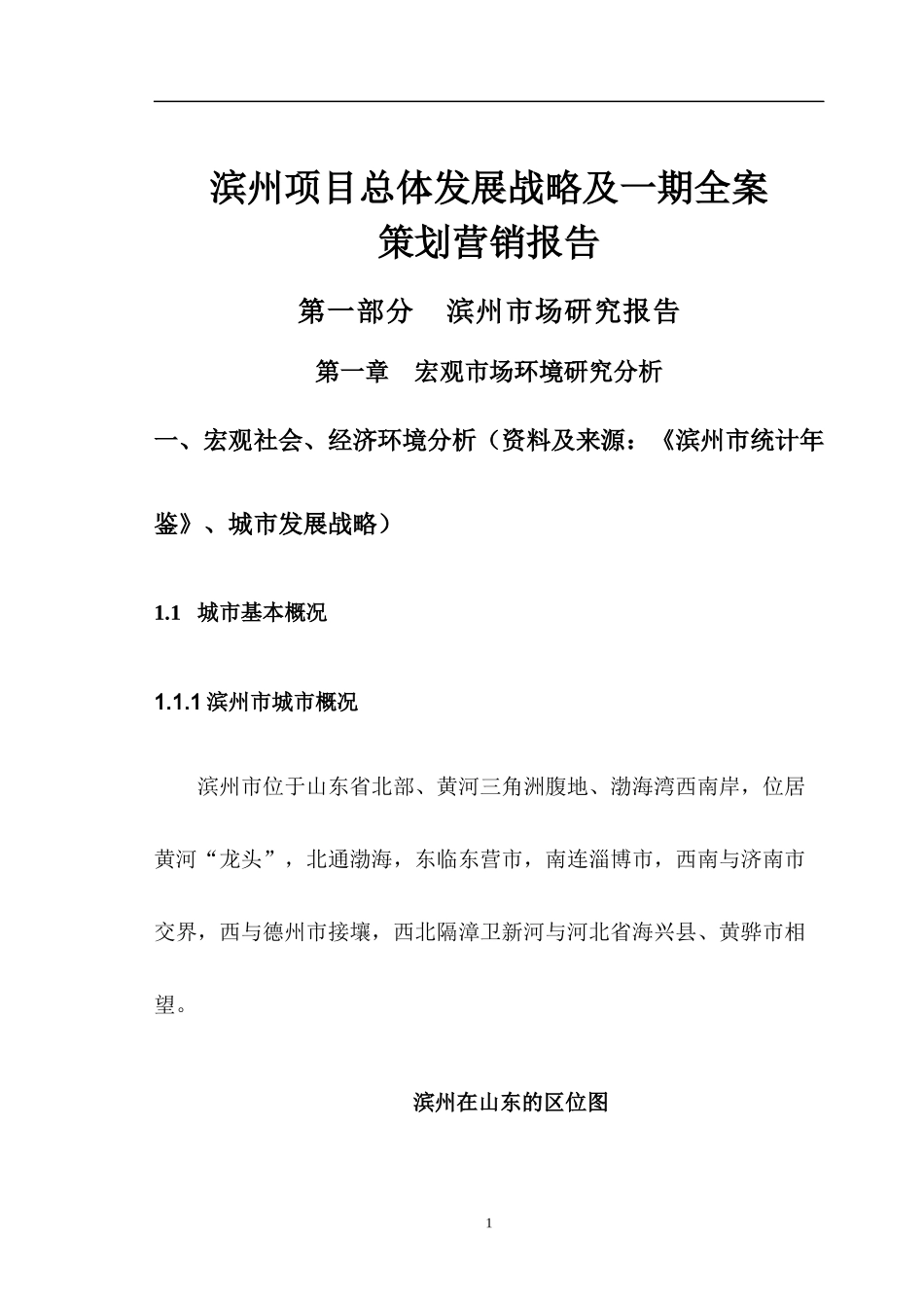 滨州市项目总体策划营销报告_第1页