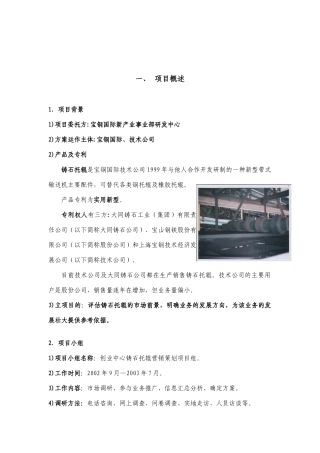 某项目营销策划方案