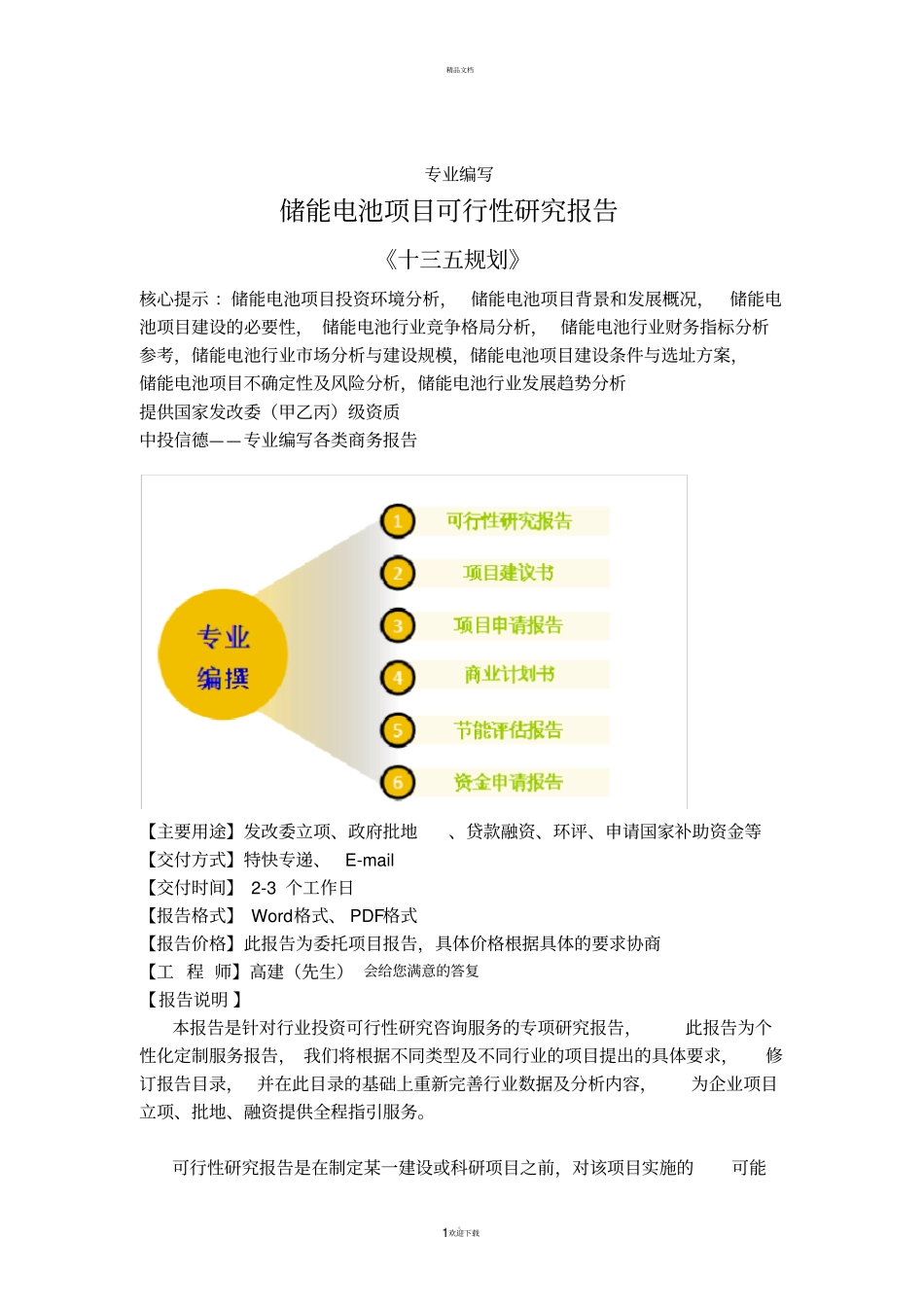 储能电池项目可行性研究报告_第1页