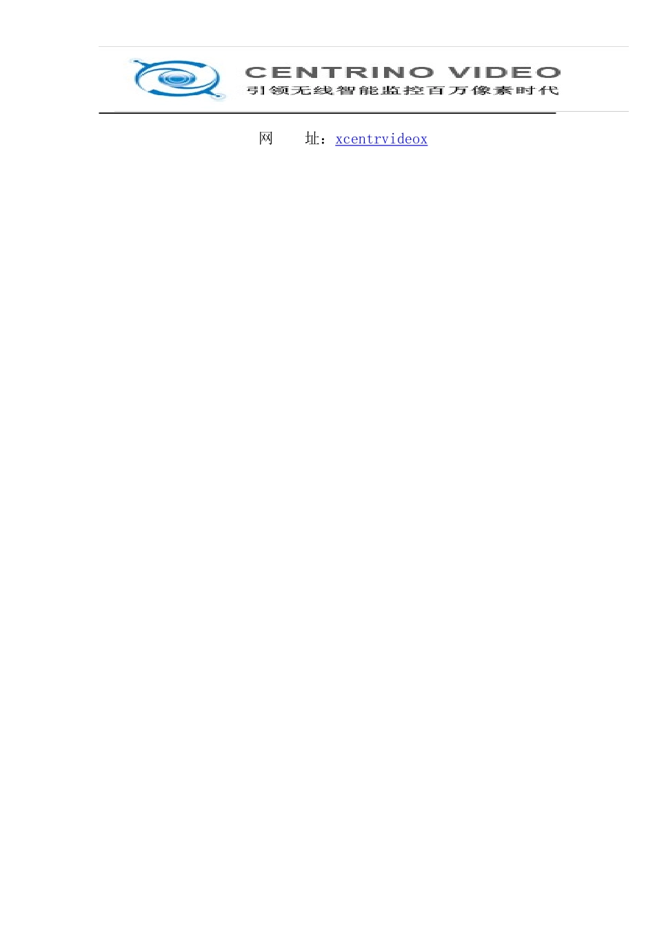 高清视频监控工程方案_第2页