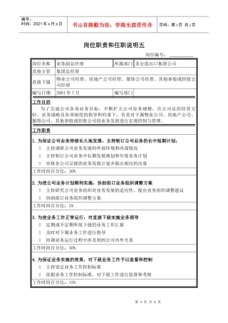 集团业务副总经理岗位职责和任职资格说明