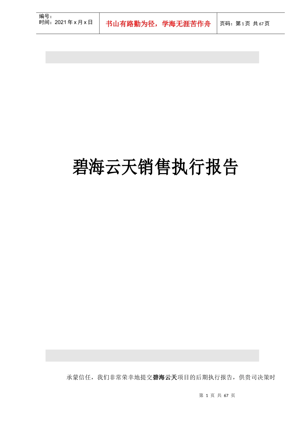 碧海云天销售执行报告_第1页